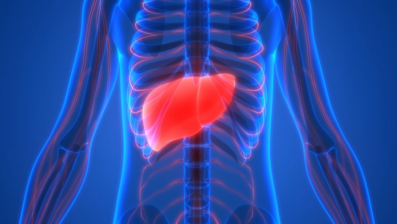 Middle East and Turkey Chronic Liver Disease (Cld) Therapeutics Helps In Breaking Down Fats