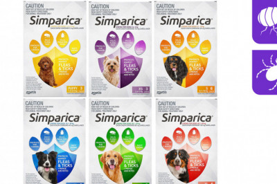 SIMPARICA Flea and Tick treatment 6 Chews for Dogs