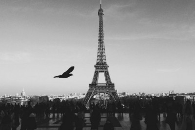 what is a merchant account and do i need one