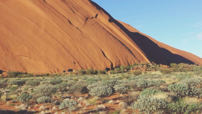 a beginners guide to watch hours on youtube