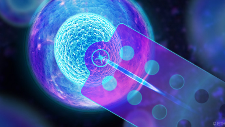A Single Cell Analysis Used By Pharmaceutical Businesses To Quantify Medication Content