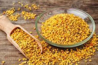 Bee Pollen Market Insight | Outlook | Growth Analysis Report 2022-2028
