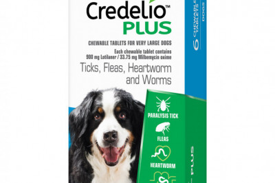 Credelio Plus Flea Tick Heartworm Worm Control 6 Chews Blue for 22 to 45 Kg Dogs