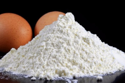 Egg White Powder Market Insight | Outlook | Growth Analysis Report 2022-2028