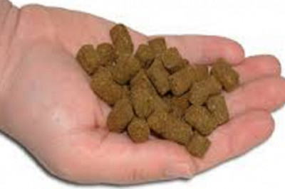 Fish Protein Concentrate Market Size, Status, Growth | Industry Analysis Report 2020-2028