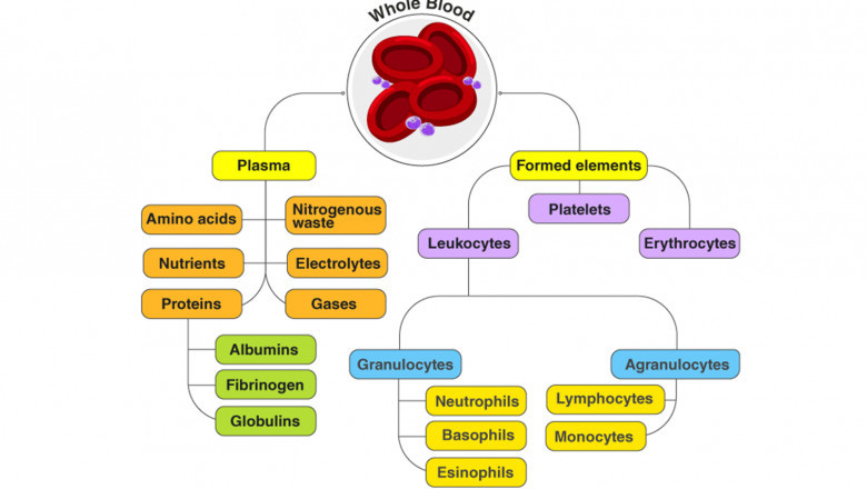 Here are some of the Functionalities of Blood And Blood Components