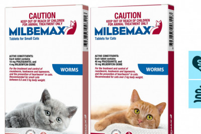 Milbemax for Cats Worms Heartworm Prevention 2 Doses