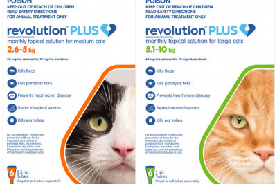 Revolution Plus for Cats 6 Doses Flea Tick Worms Treatment