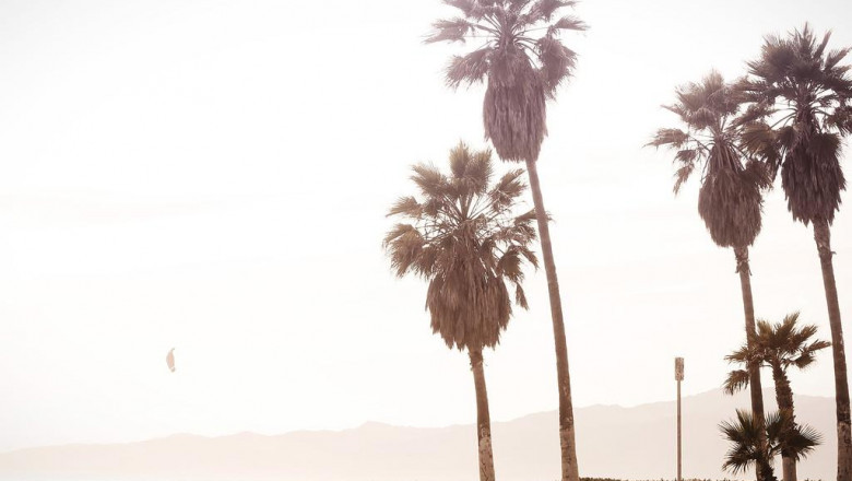 the best real estate websites 5 things they have in common