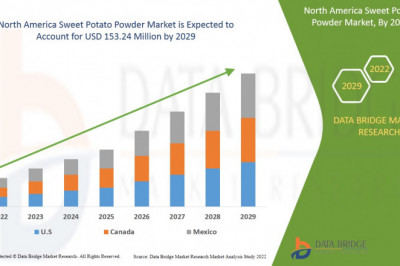 The   North America Sweet Potato Powder Market Opportunities