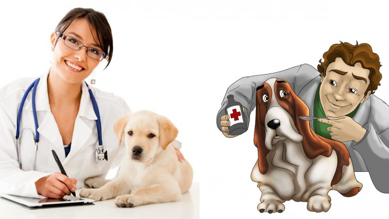 Veterinary Telemedicine can Examine Images of a Patient's Body and Run Diagnostic Tests