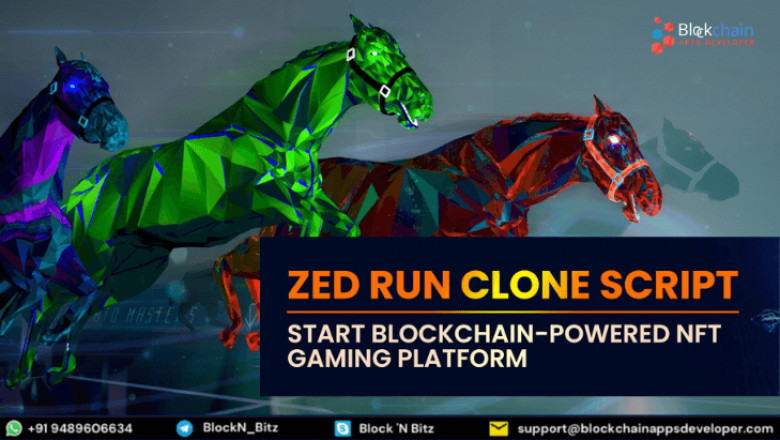 Zed Run Clone Script | Build Digital Horse Racing Game