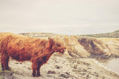 file your own taxes online file taxes