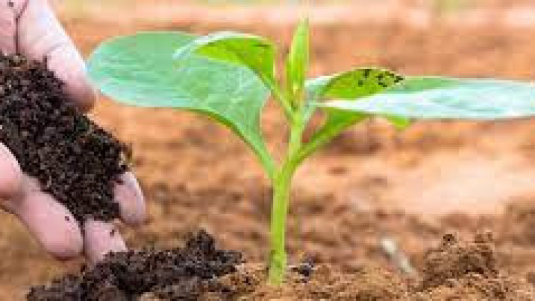 Agrochemicals Market 2022 Key Players, Share & Forecast Report to 2028