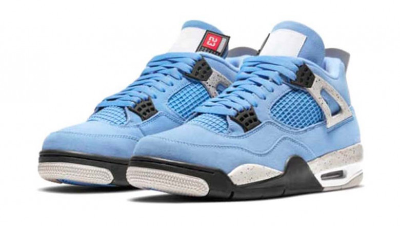 Air Jordan 4 Sale actual skin of an