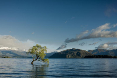 how to store hearing aid batteries and extend their life hearing aids for seniors