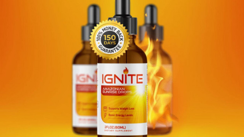 Ignite Review – Understand The Core Concepts Now!
