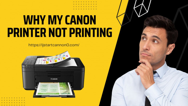 How to Troubleshoot Canon Printer Not Printing Issues