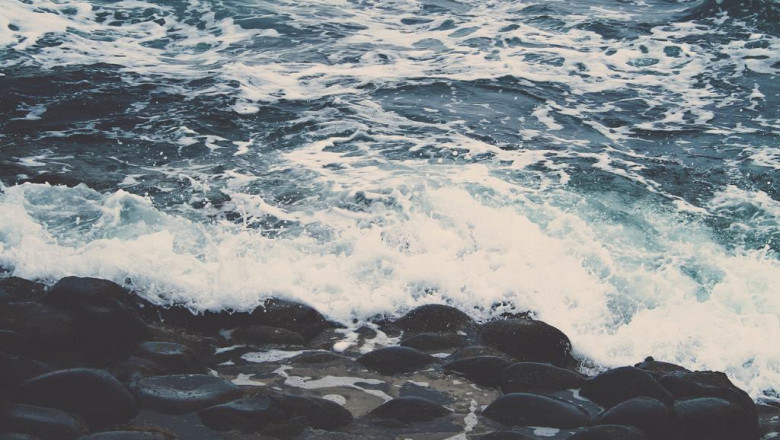 this is your brain on galtech umbrellas on line