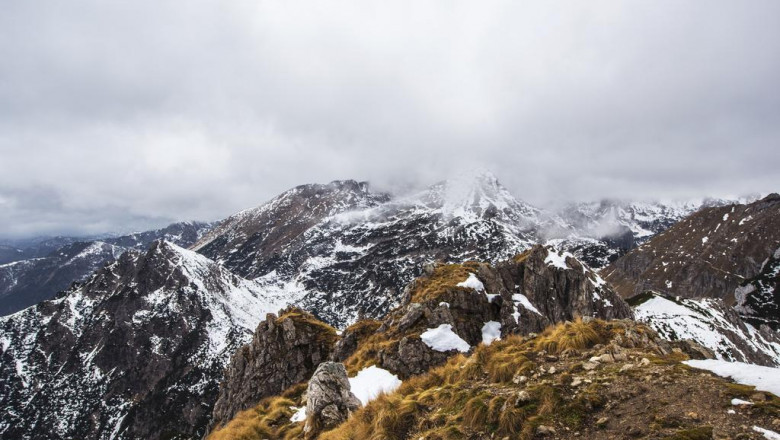 20 upandcomers to watch in the face cream in groningen industry