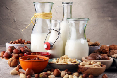 Global Dairy Alternative Beverages Market Report, Latest Trends, Industry Opportunity & Forecast to 2028