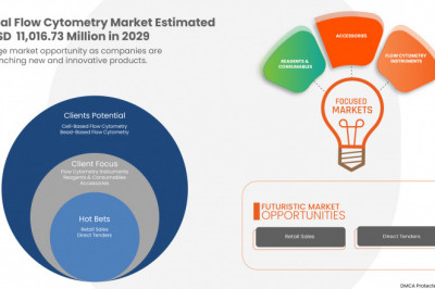 Global Flow Cytometry Market with Competitive Analysis, Global Strategies, Growth Factors, Market Size, Opportunities, Forecast to 2029