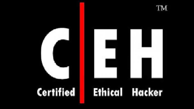 New 312-50v12 Exam Experience | ECCouncil Online 312-50v12 Lab Simulation & 312-50v12 Customized Lab Simulation