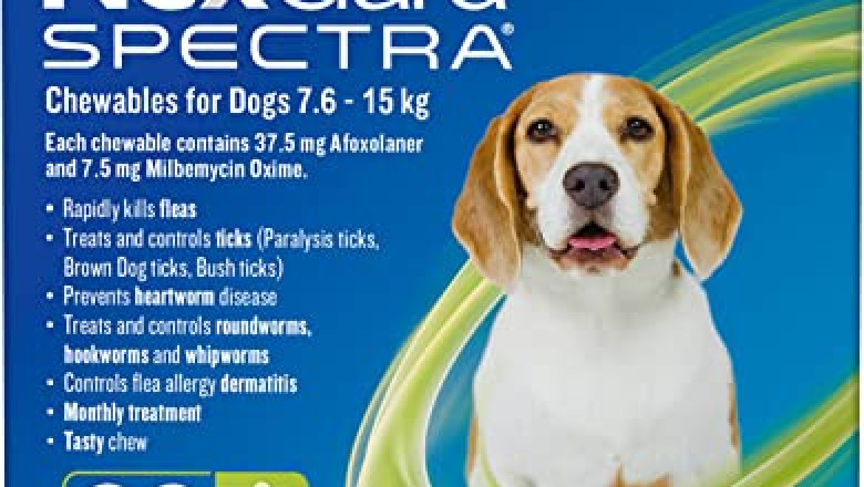 Nexgard Spectra