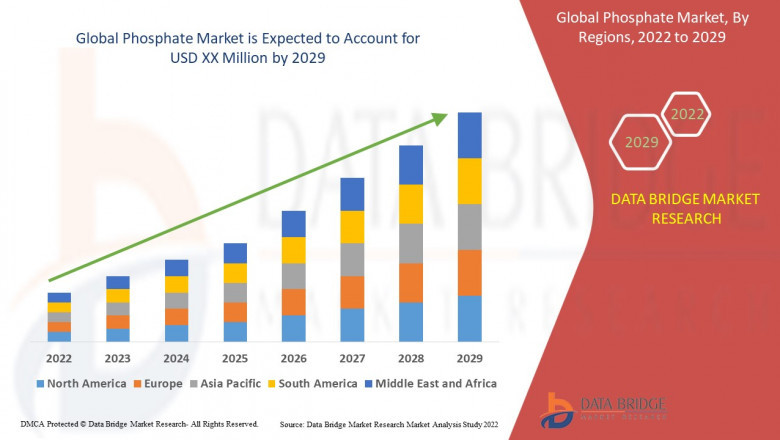 Phosphate market is segmented into ammonium, calcium, phosphoric acid, potassium, sodium