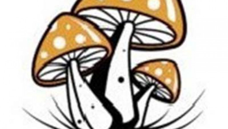 Psychedelic High