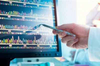 Sanger Sequencing Service Market 2022 Global Impact of COVID-19 on Industry, Share, Growth, Trends, Analysis by Top Key Player and Forecast till 2028