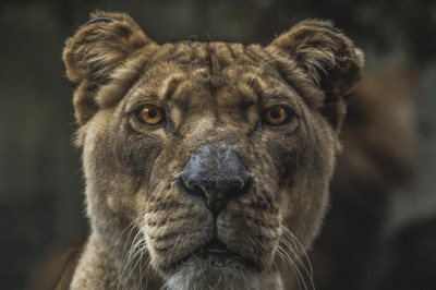 20 things you should know about nature