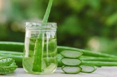 Aloe Vera Extract Market  Boost the Growth of Global Industrial by 2027