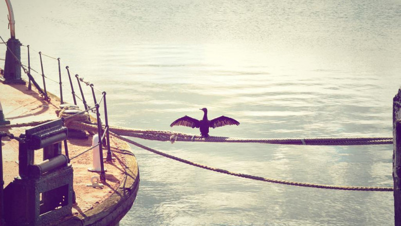 the 27 ideal cake dishes worldwide