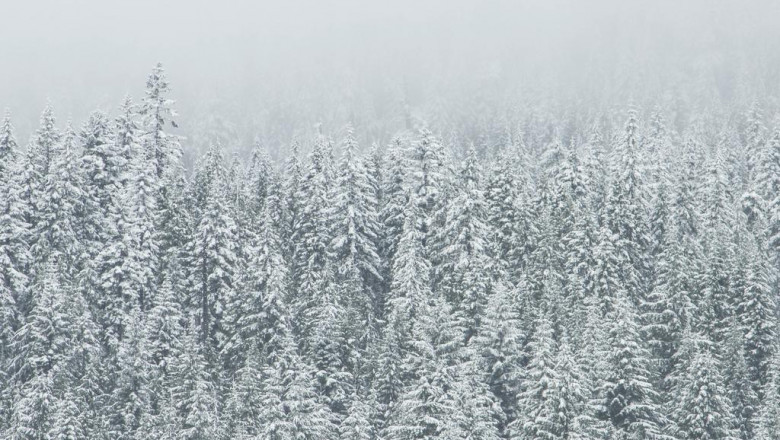 the best delicious chocolate cake recipe