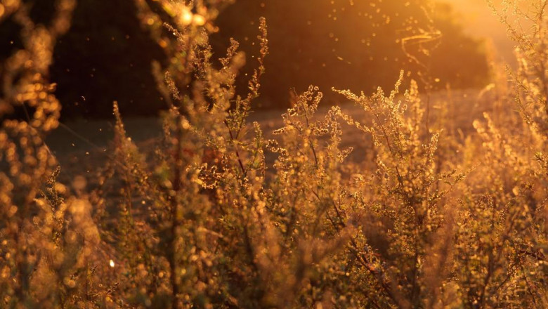 4 dirty little secrets about the 247 creative co gold coast industry