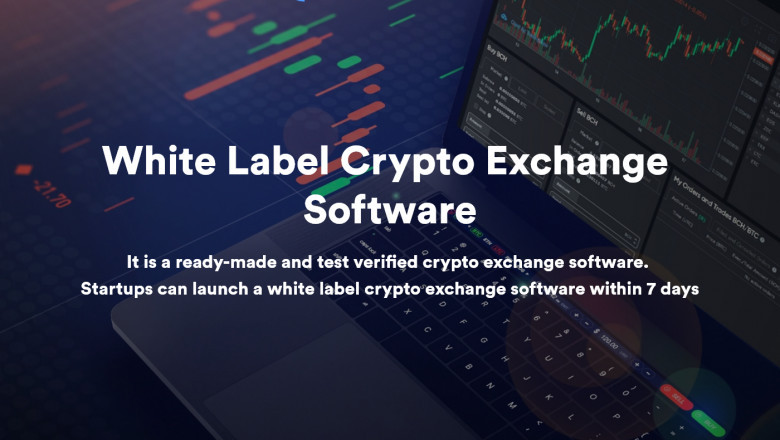 How to minimize the developing cost of crypto exchange software?