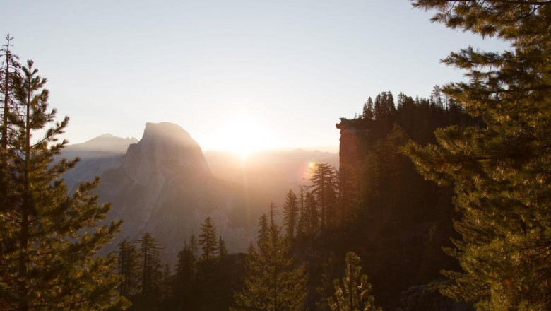 mindbody connection how you can persevere when pain benches you