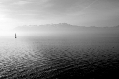 14 businesses doing a great job at monas77