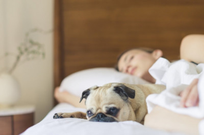 Acupuncture Treatment Available at Lakeside Natural Health Centre