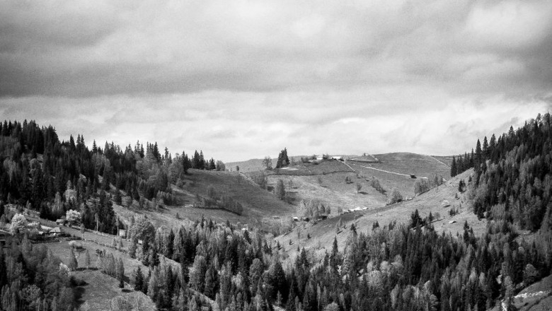 aethngbl ed bryn etriiymthamlaaysthititamnaan guccibet