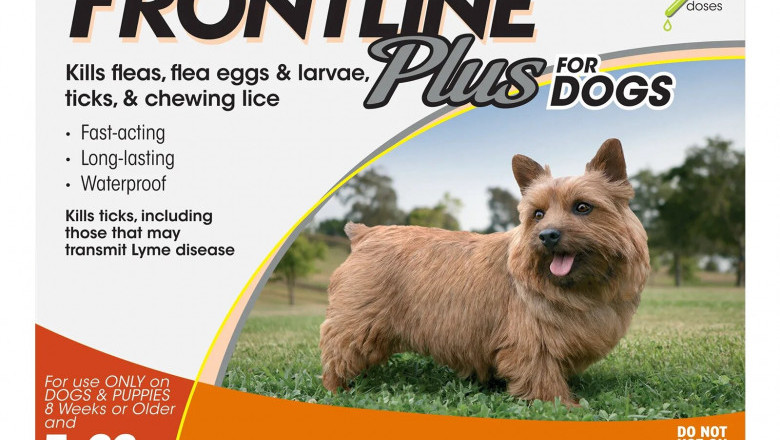 Buy Cheapest Frontline Plus for Dogs - Online With Free Shipping@petcaresupplies!!