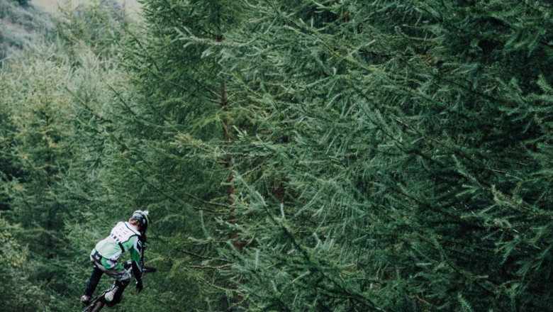 electrical contractor glenview