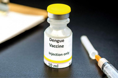 Global Dengue Vaccines Market Restraints