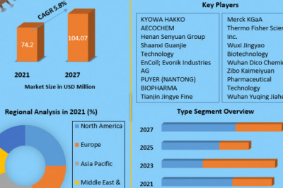 Global Hydroxyproline Market  Size, Growth, Trends, Revenue, Future Plans and Forecast (2022-2029)
