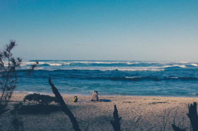 how to create an awesome instagram video about wing surfer