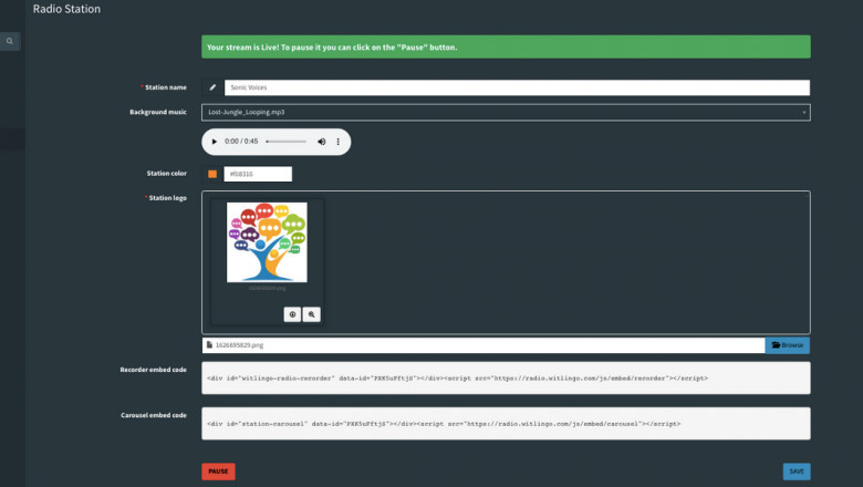 Know About Different Audio Features And Terms With Witlingo
