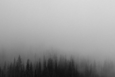 myogrodzenia akustyczne interesting blog 9562