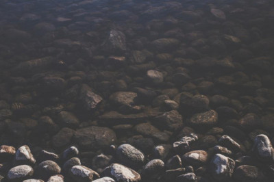 theogrodzenia akustyczne winylowe brilliant blog 4168