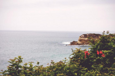 theprzegrody akustyczne pochlaniajace halas expert blog 5873